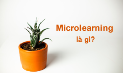 microleaning